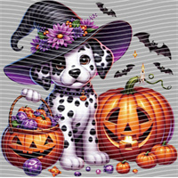 Halloween-WS 5772